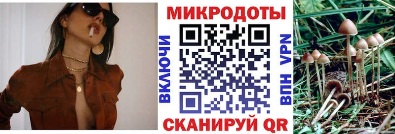 Псилоцибиновые грибы Cubensis  Багратионовск 